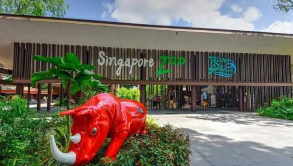 Singapore Zoo Resort